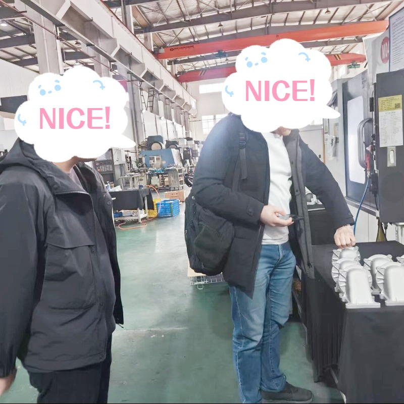 Seamless Collaboration and Flawless Validation: A Recent Client Engagement